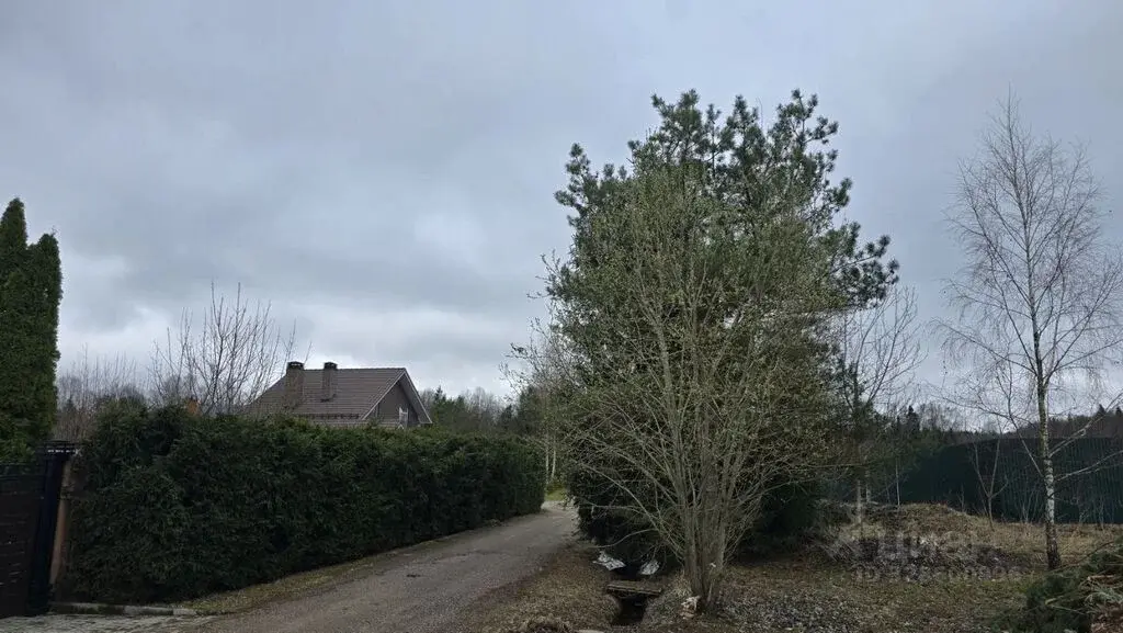 Продажа участка 19.72 га Московская область, Истра муниципальный ... - Фото 6