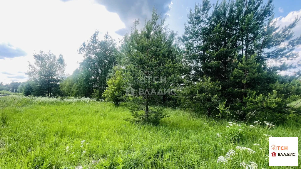 Продажа участка, Ямкино, Богородский г. о. - Фото 0