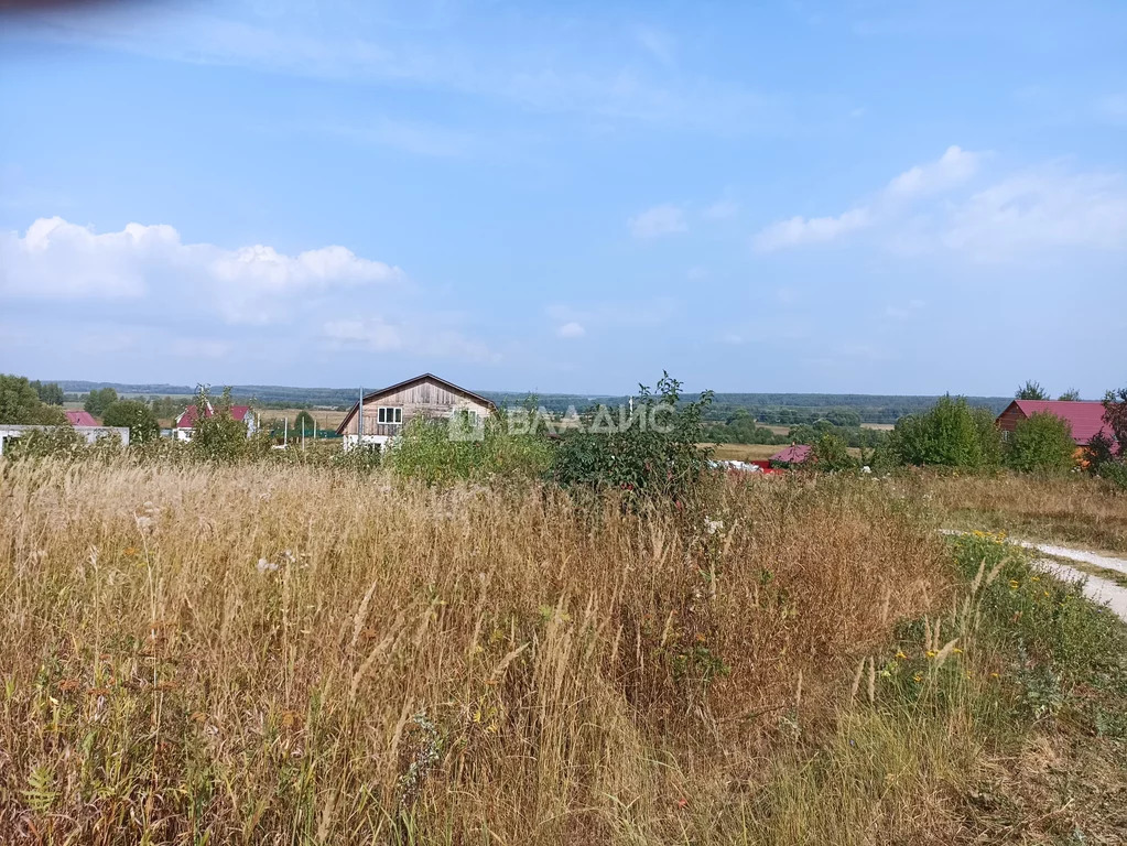 Собинский район, деревня Добрынино, земля на продажу - Фото 0