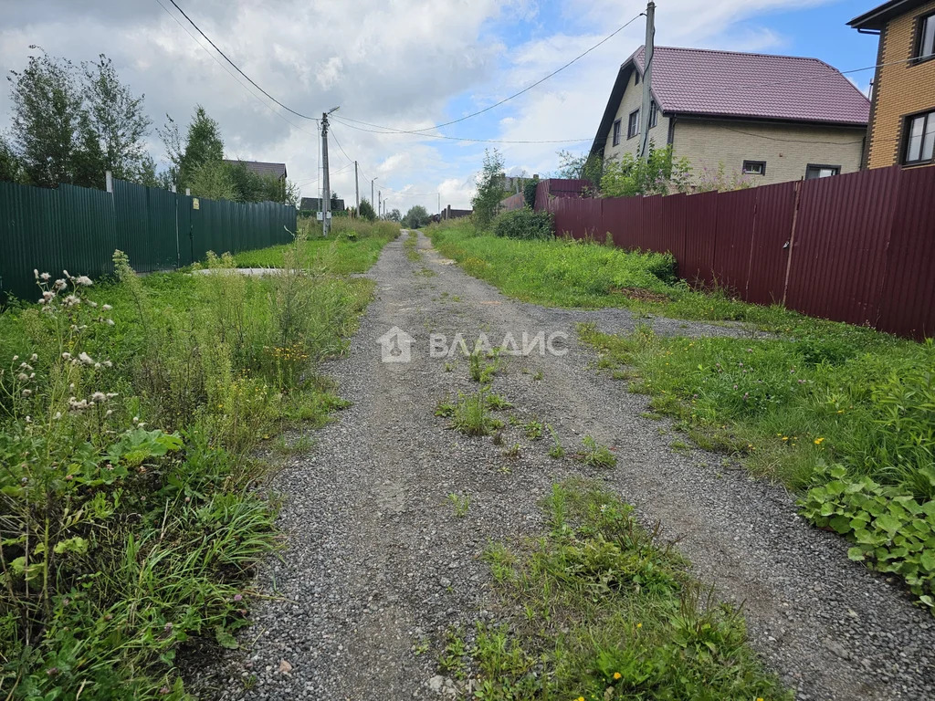 Дмитровский городской округ, деревня Лупаново,  земля на продажу - Фото 3