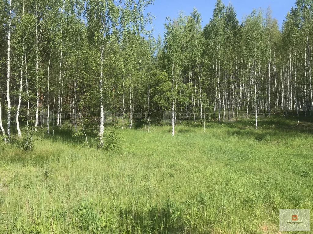 Продажа участка, Каймары, ул. Татарстан - Фото 5