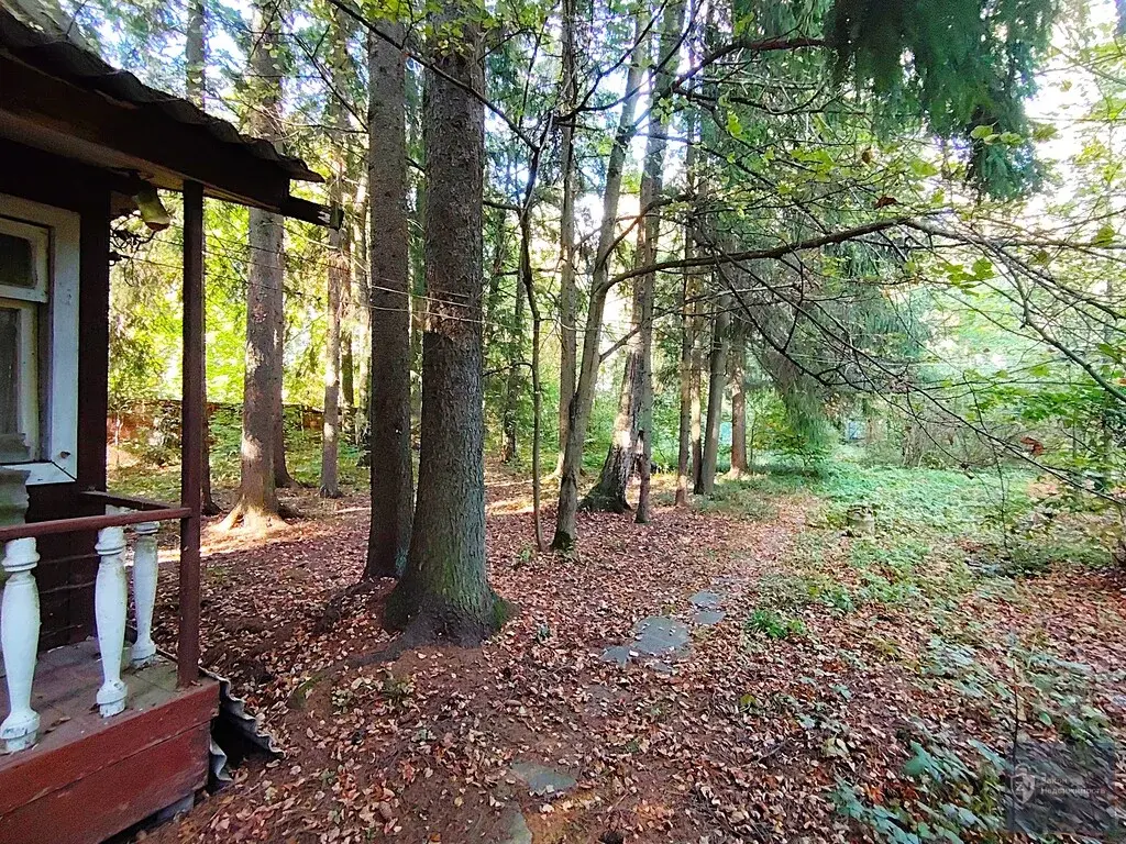 Обжитой стародачный поселок  Фрунзевец. 30 км от МКАД по Киевскому ш. - Фото 3