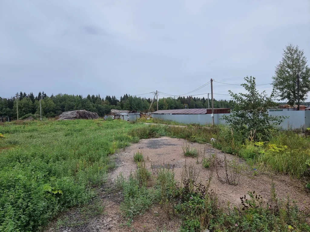 Продажа участка, Лесколово, Всеволожский район - Фото 3