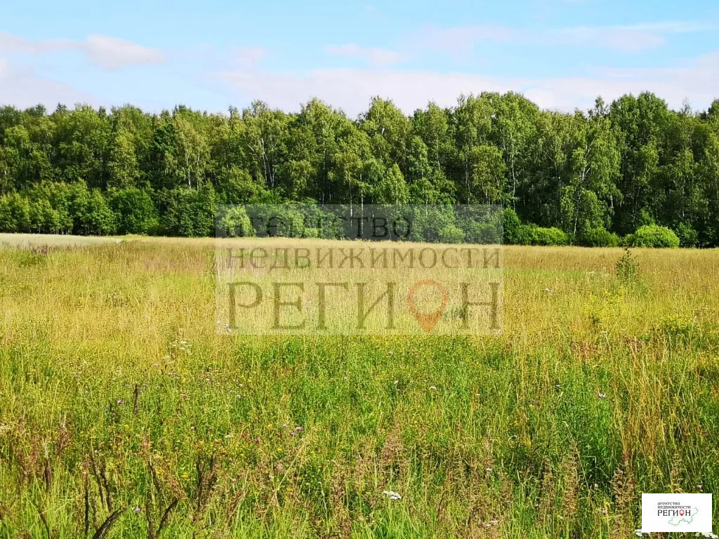 Продажа участка, Коростелево, Боровский район - Фото 2