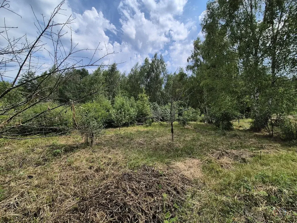 Дом 51,6 м2 на участке 15 сот. - Фото 19