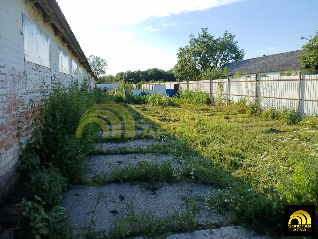 Продажа готового бизнеса, Свободный, Северский район - Фото 3
