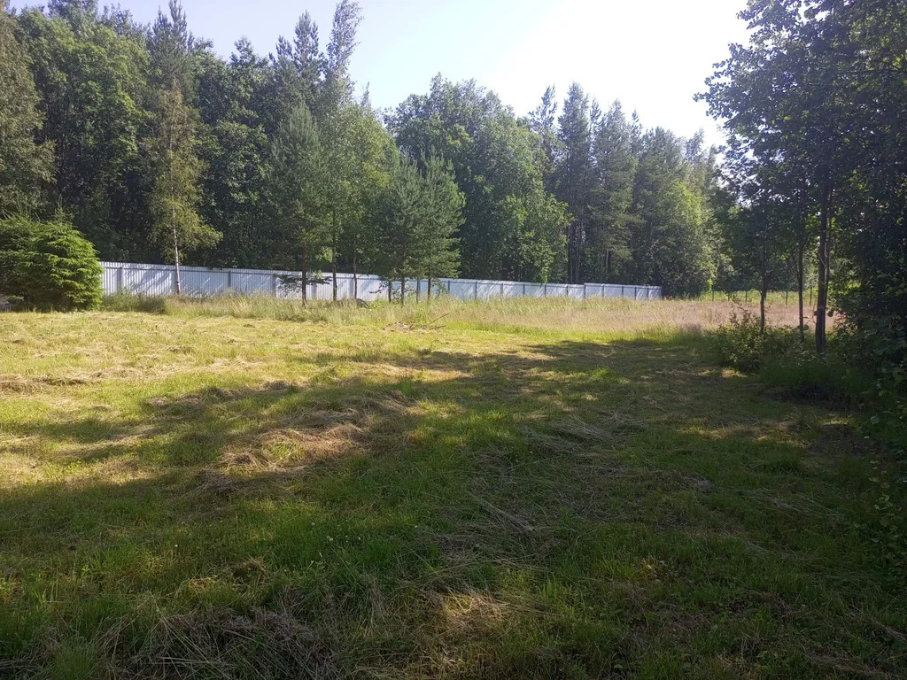 Продается земельный участок 23 сот. - Фото 13