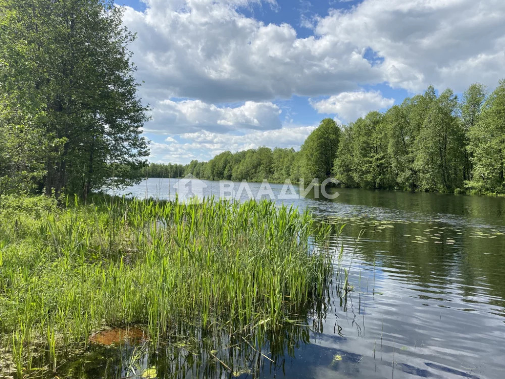 Камешковский район, деревня Лубенкино,  дом на продажу - Фото 33