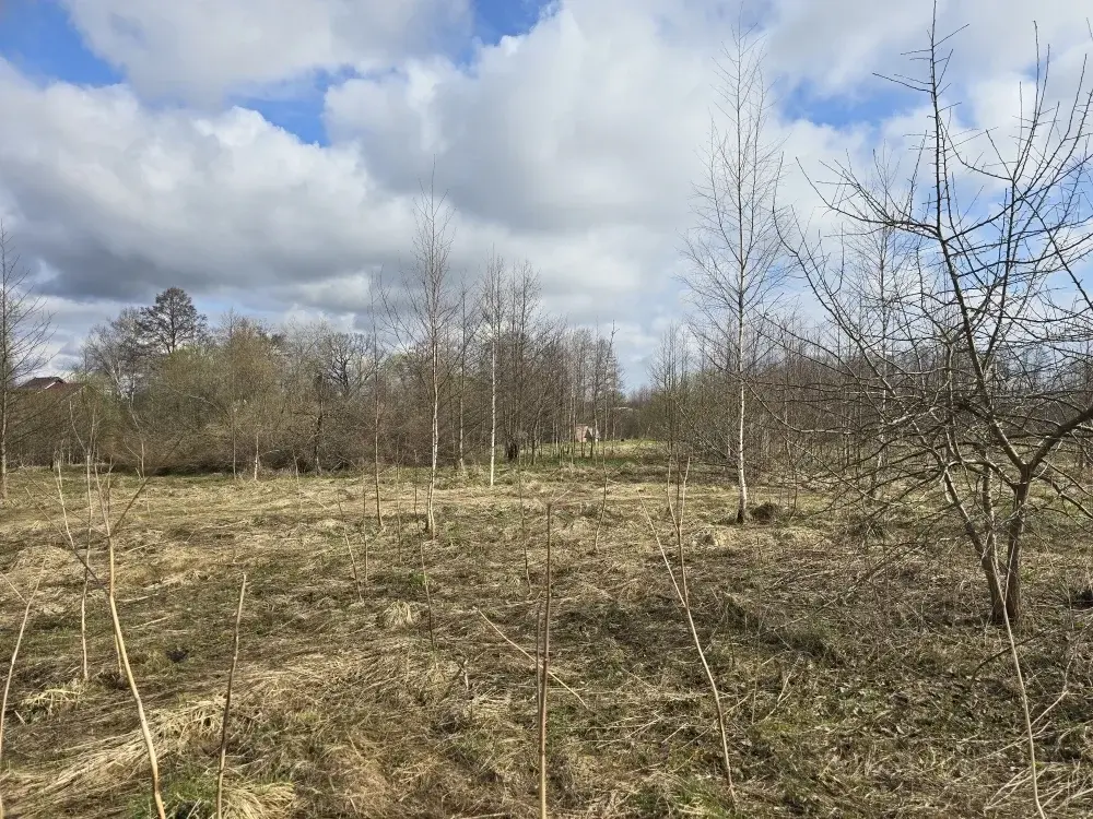 Продаю участок 10 соток в пос. Гарь-Покровское - Фото 5