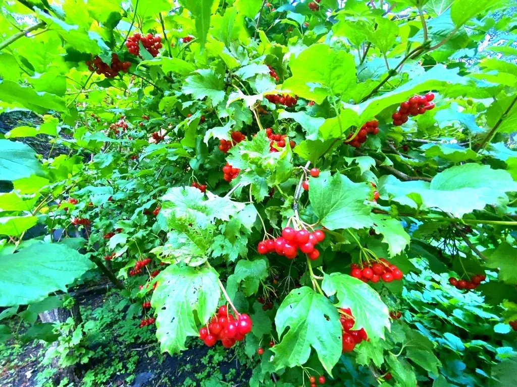 Дом на улице 9 Января - Фото 10