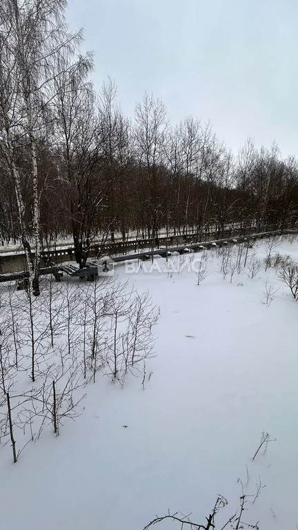 городской округ Чехов, село Талалихино, Спортивная улица, д.4, ... - Фото 11