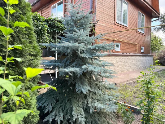 Продам дом, Нагорная ул, 141 , Сартаково д, 20 км от города - Фото 5