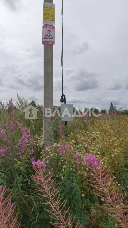 Ломоносовский район, деревня Вильповицы,  земля на продажу - Фото 5