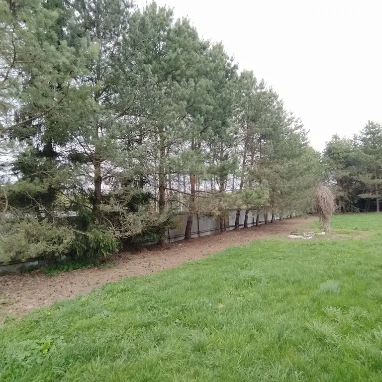 Сдаю дачу на лето у реки - Фото 15