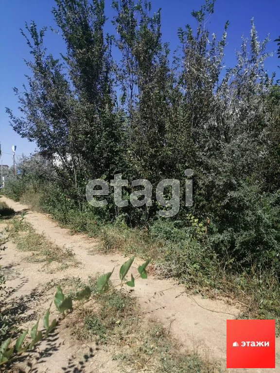 Продажа участка, Новофедоровка, Сакский район - Фото 5