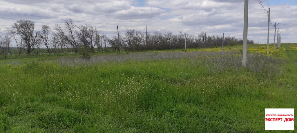 Продажа участка, Новоприморский, Неклиновский район, Мартовская ул. - Фото 5