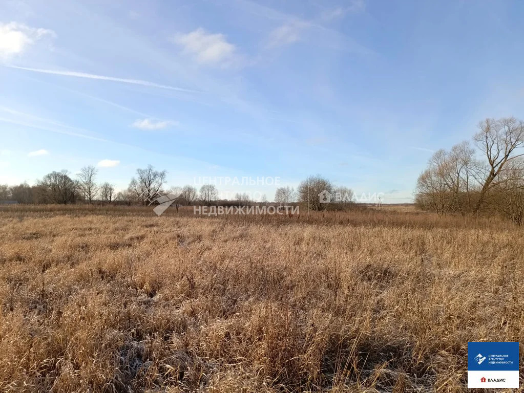 Продажа участка, Житово, Рыбновский район - Фото 1