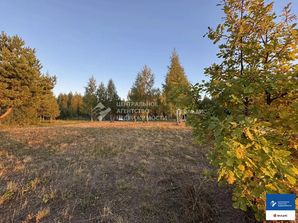 Продажа участка, Рязанский район - Фото 14