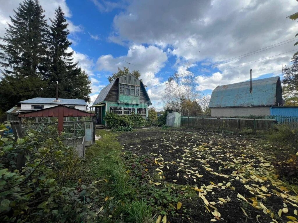 Продажа дома, Соколово, Колыванский район, с/о Вертолет - Фото 3