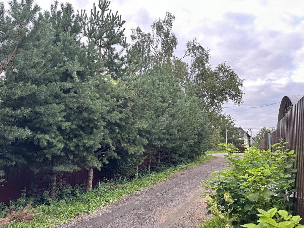 Продажа участка, Внуково, Дмитровский район - Фото 21