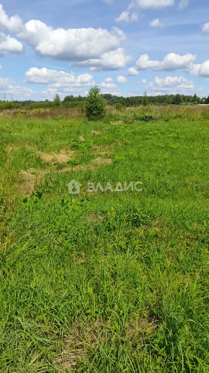 Талдомский городской округ, деревня Танино,  земля на продажу - Фото 1