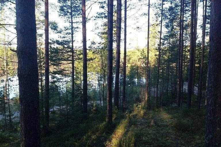 Деревня овраги ленинградская область приозерский. Поселок Раздолье озеро Луговое.