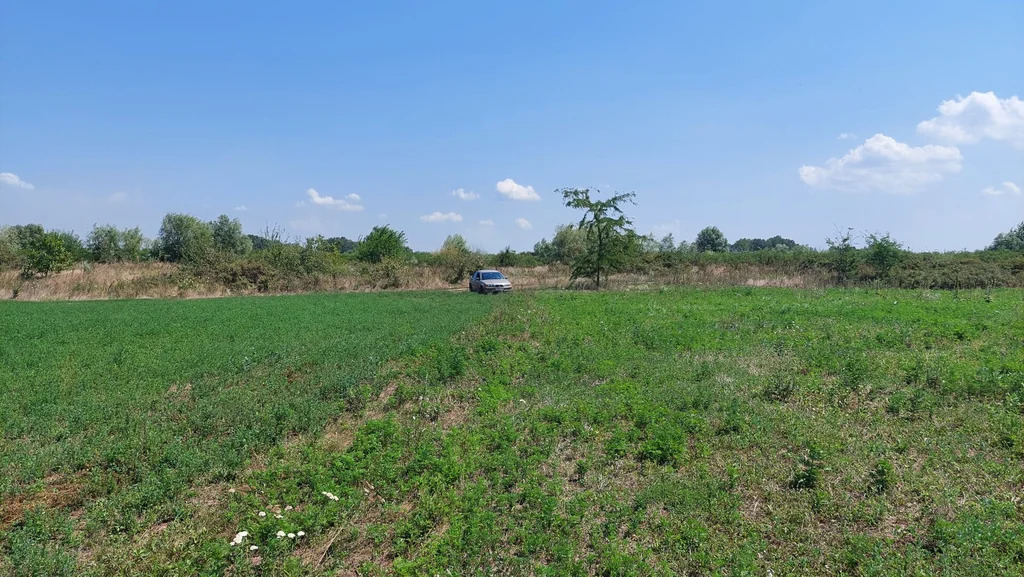 Продажа участка, Темрюкский район, улица Балтийская - Фото 5