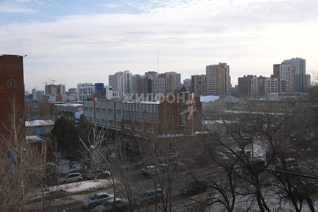 Продажа квартиры, Новосибирск, ул. Фрунзе - Фото 14
