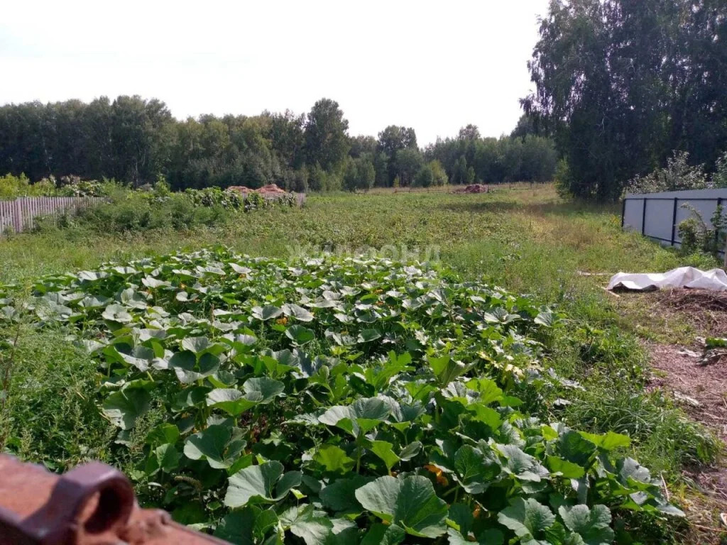 Продажа дома, Скала, Колыванский район, ул. 40 лет Победы - Фото 3