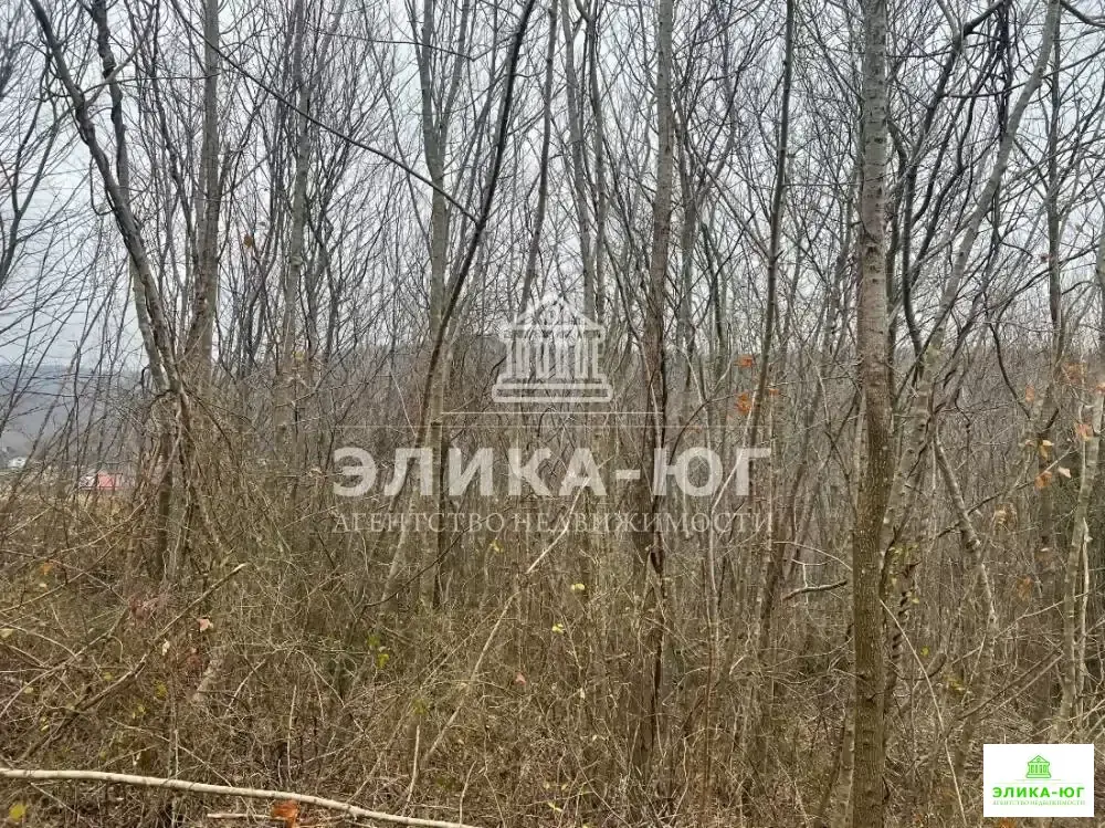 Продажа участка, Бжид, Туапсинский район, мкр. Юг - Фото 4