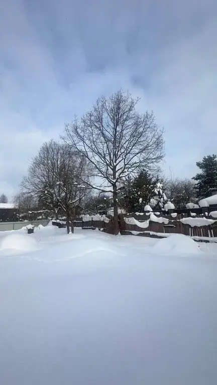 Участок в черте города Дедовска - Фото 6