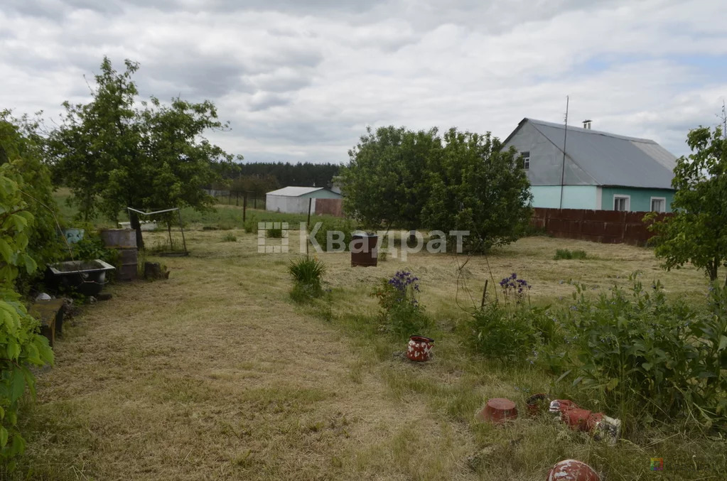 Продам родовую усадьбу - Фото 0