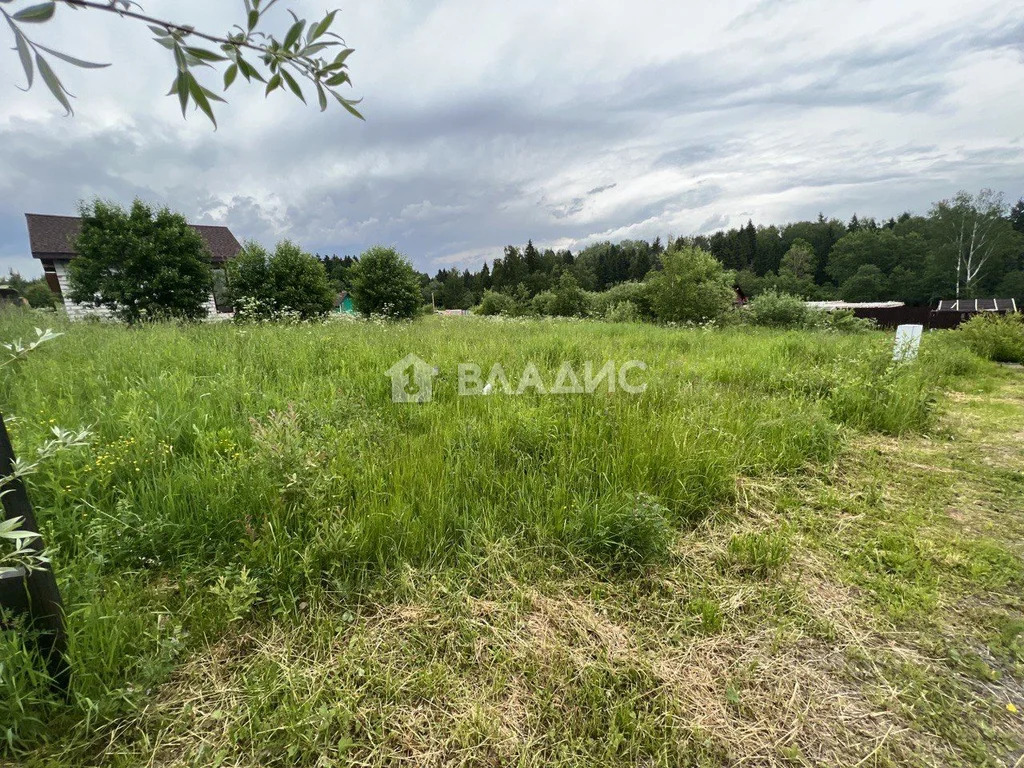 Талдомский городской округ, деревня Петрино,  земля на продажу - Фото 4