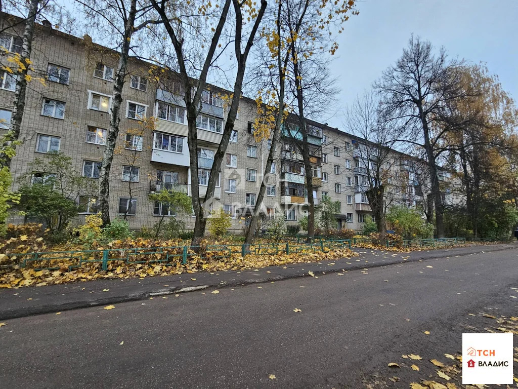 городской округ Пушкинский, Пушкино, Надсоновский тупик, д.5, ... - Фото 20