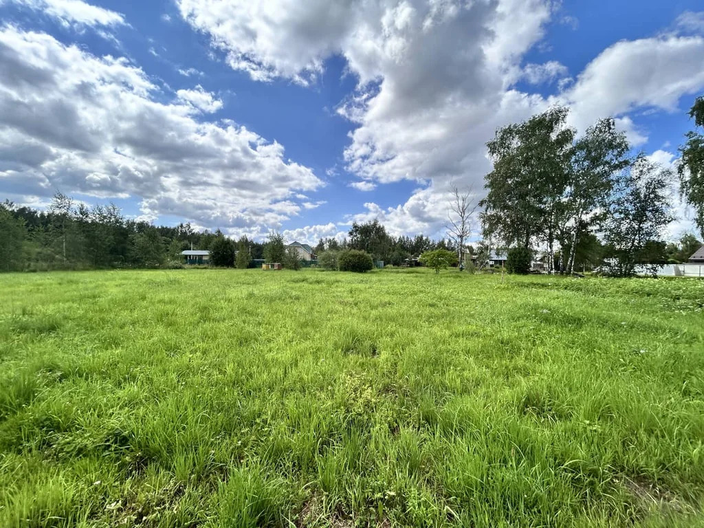 Продажа участка, Власково, Дмитровский район - Фото 7