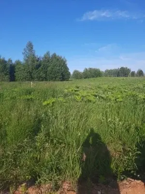 Продаетс большой участок земли в д.Нововолково Рузский р. Московская - Фото 1