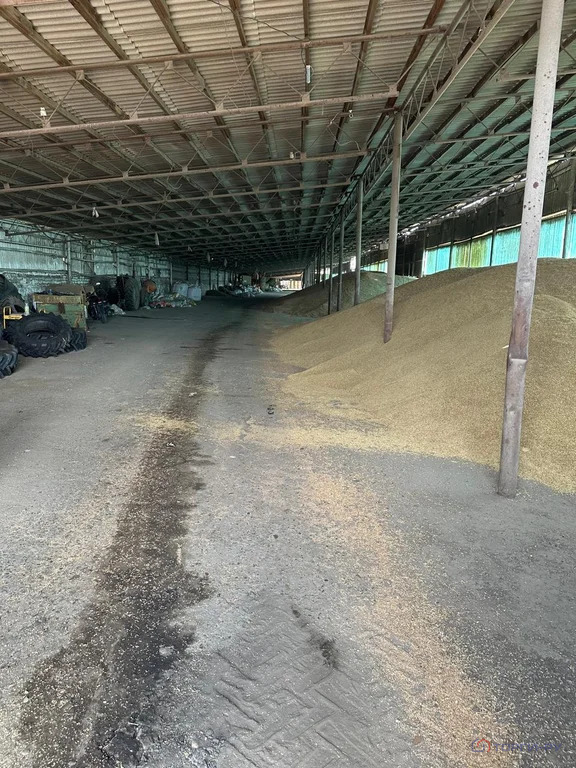 Продажа производственного помещения, Раздольное, Новоалександровский ... - Фото 10