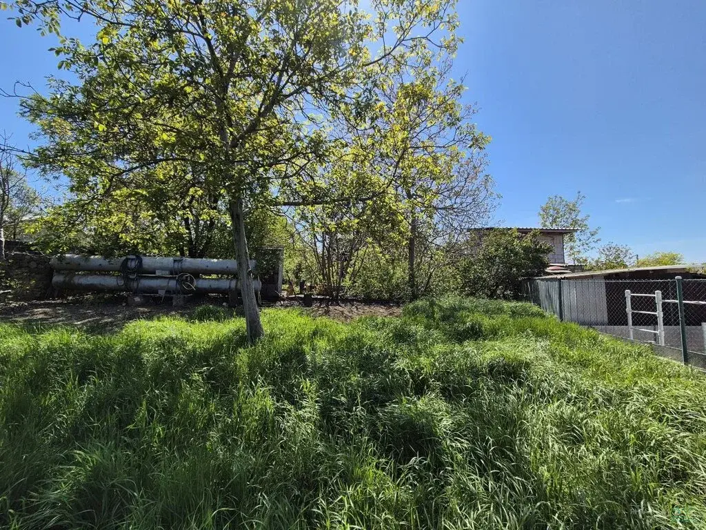 Продается участок 6.4 сотки в СНТ «Южный» (р-н ул. Шабалина) - Фото 10