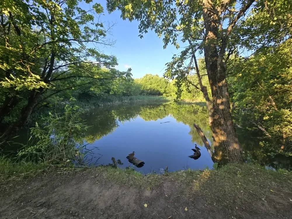 Продаю Дом в снт Назарьево - Фото 37