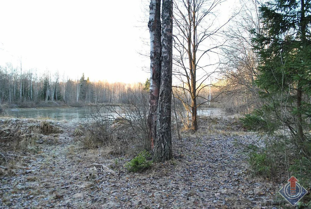Земельный участок на лесной опушке в СНТ Родничок у д. Порядино - Фото 25