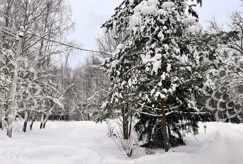 Продам участок, Новорижское шоссе, 28 км от МКАД - Фото 5