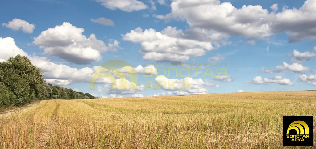 Продажа участка, Старотитаровская, Темрюкский район - Фото 5