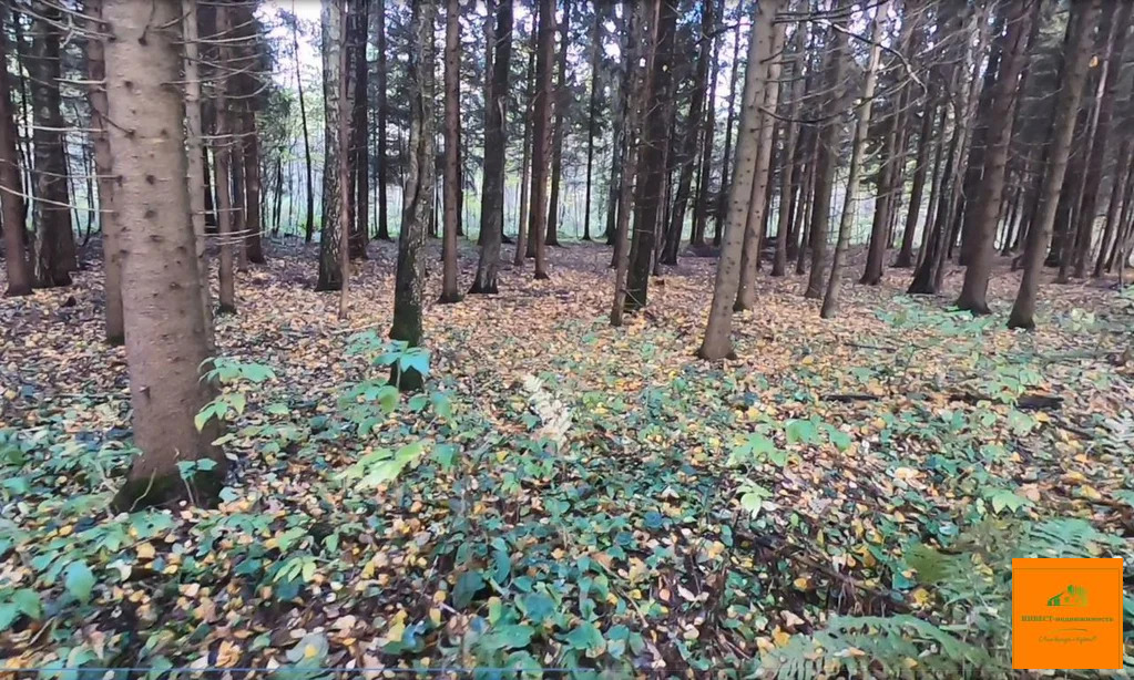 Продажа участка, Плесенское, Наро-Фоминский район - Фото 6