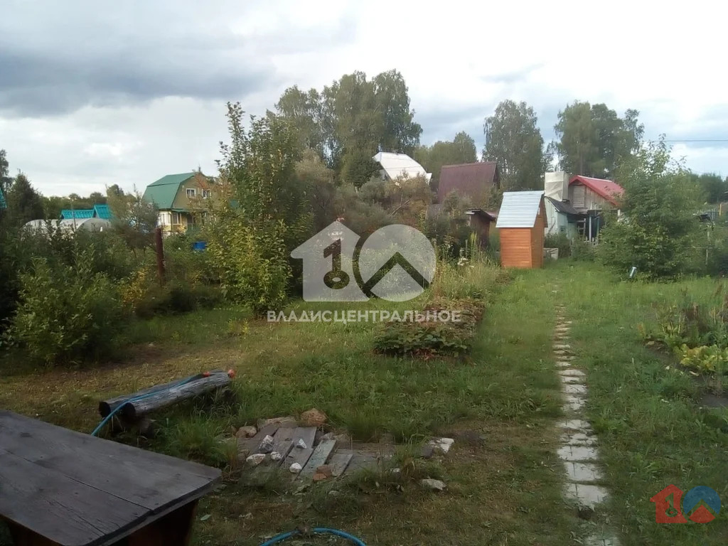 Новосибирский район, садоводческое некоммерческое товарищество ... - Фото 8