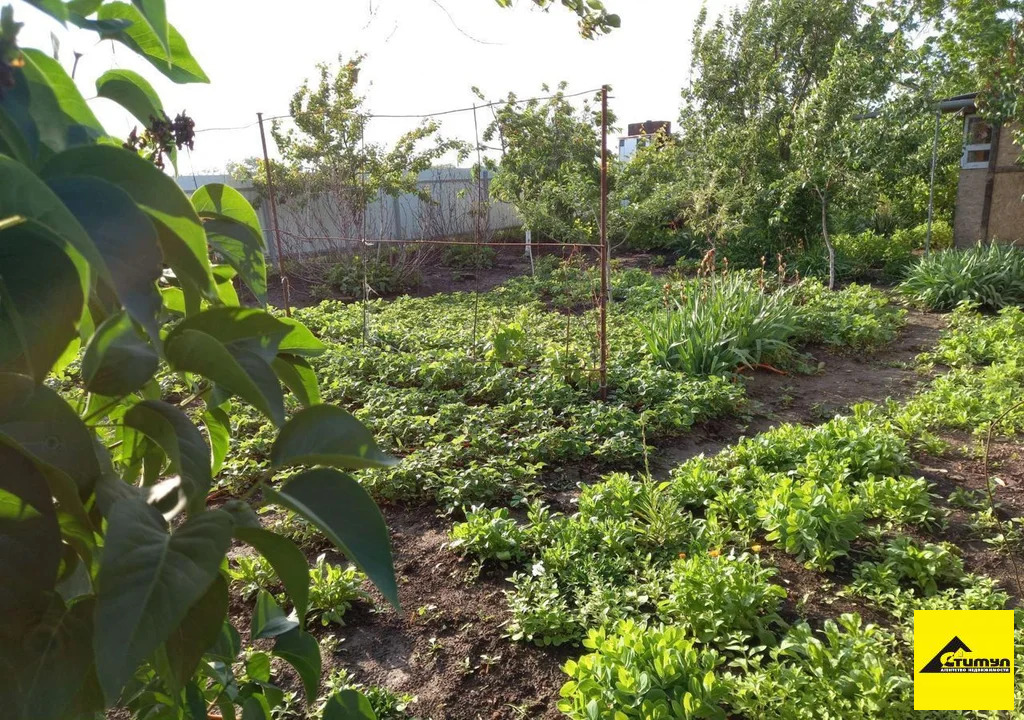 Продажа дома, Большевик, Ейский район - Фото 9