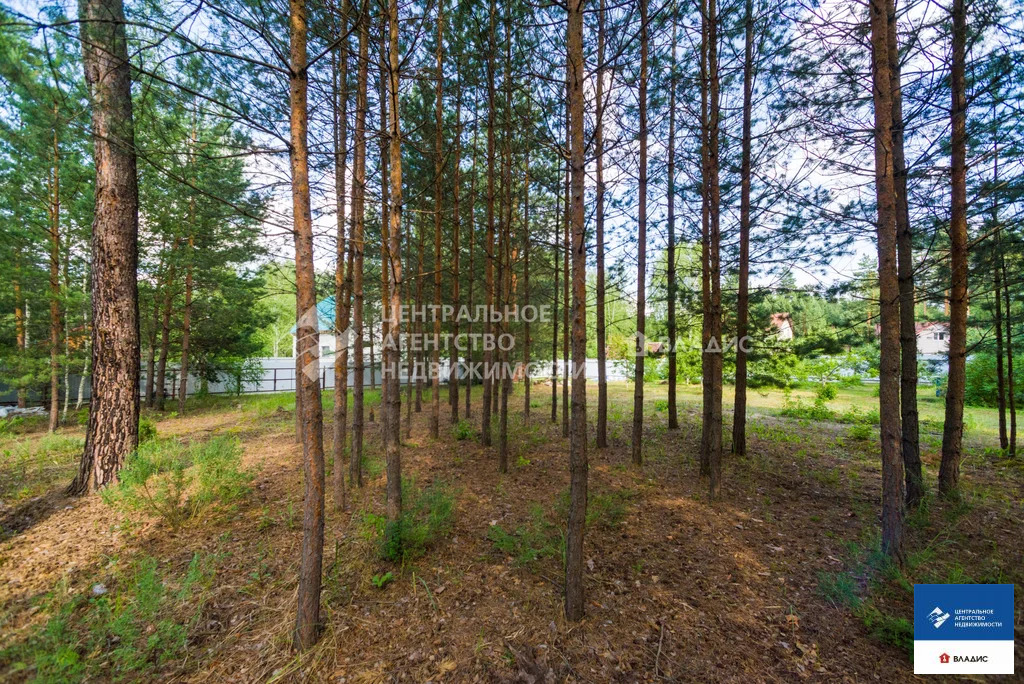 Продажа участка, Рязанский район, 2-й проезд Велье - Фото 4
