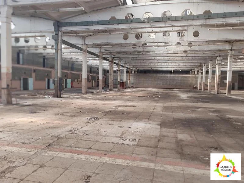 Предлагается в аренду холодное производственное помещение - Фото 2
