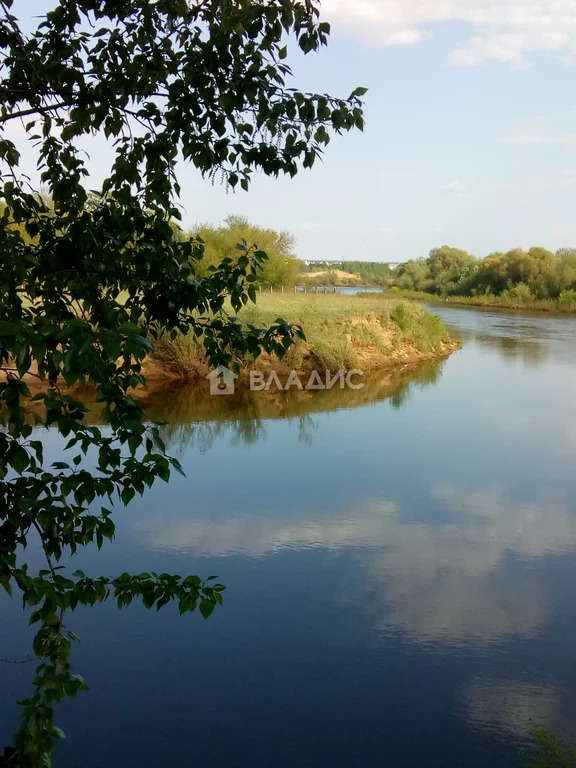 Судогодский район, деревня Лухтоново,  земля на продажу - Фото 5