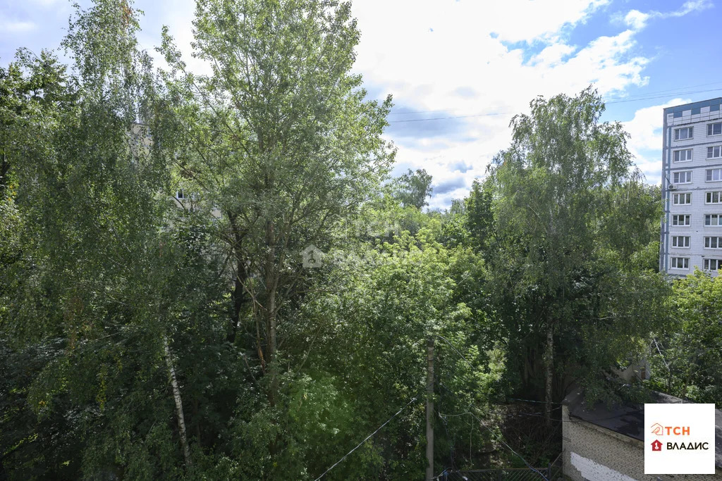 Продажа квартиры, Пушкино, Воскресенский район, улица Л. Толстого - Фото 9