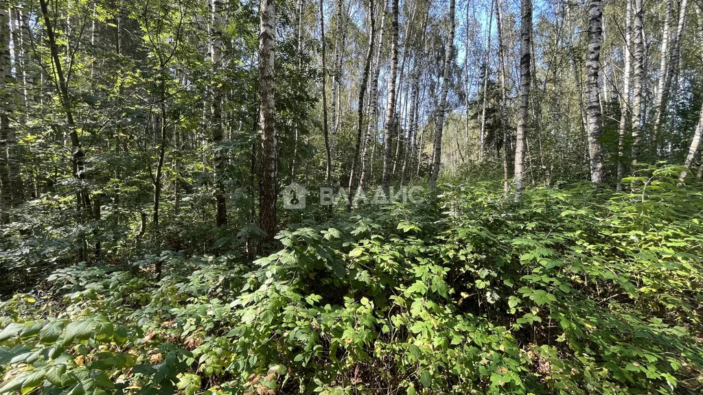 городской округ Серпухов, СНТ Дачное,  земля на продажу - Фото 13